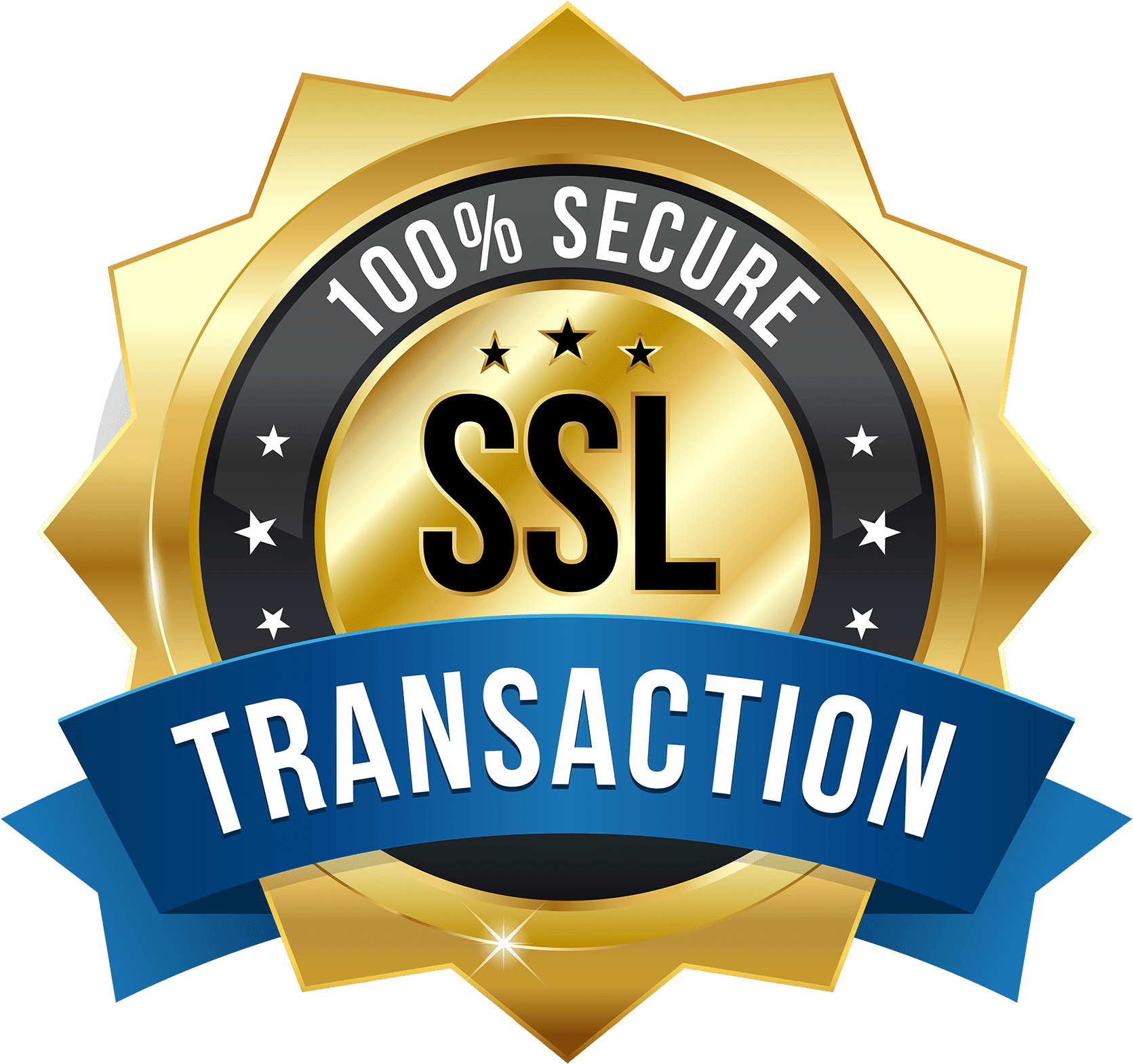 ldg secure payment logo